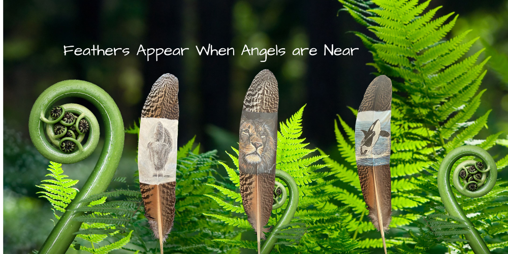 Feathers Appear When Angels are Near-969